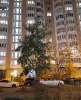 Сдам 2-комнатную квартиру, пр-т Защитников Москвы 13, 51.7 м²