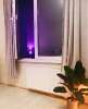 Сдам студию, ул. Фонвизина 18, 25 м²