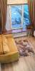 Сдам студию в Москве, м. Тушинская, . 116с3, 23 м²