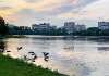 Сдам 3-комнатную квартиру в Москве, м. Коптево, Михалковская ул. 40, 70 м²