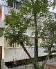 Сдам 1-комнатную квартиру, Стрелецкая улица 11 подъезд 1, 35 м²
