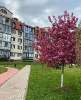 Сдам 1-комнатную квартиру в Москве, м. Молодежная, Одинцовский г.о. с. Ромашково Европейский б-р 9, 40 м²