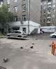 Сдам 3-комнатную квартиру в Москве, м. Окружная, . 52к1, 81.5 м²