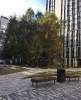 Сдам 1-комнатную квартиру в Москве, м. Бунинская аллея, Новомосковский административный округ поселение Сосенское жилой комплекс Скандинавия ул. Эдварда Грига 15, 43 м²