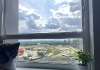 Сдам студию в Москве, м. Спартак, . 71/22к1, 18 м²
