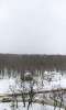 Сдам койко-место в 2-к квартире в Москве, м. Новокосино, Городецкая ул. 13/19к2, 20 м²
