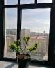 Сдам студию в Москве, м. Римская, Нижегородская ул. 32с3, 50 м²
