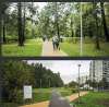 Сдам 1-комнатную квартиру в Москве, м. Новокосино, Салтыковская ул. 29к3, 39 м²
