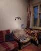 Сдам комнату в 3-к квартире в Москве, м. Коптево, Коптевский б-р 18, 15 м²