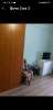 Сдам койко-место в 4-к квартире в Москве, м. Кантемировская, . 54к1, 18 м²