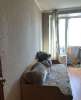 Сдам 2-комнатную квартиру, Ленинский пр-т 91, 48 м²