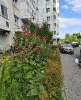 Сдам 2-комнатную квартиру, ул. Мнёвники 23, 54.2 м²
