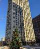 Сдам студию в Москве, м. Озёрная, Озёрная ул. 44, 25.4 м²