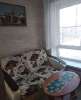 Сдам студию, ул. Вертолётчиков 21к3, 20 м²
