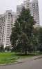 Сдам 2-комнатную квартиру в Москве, м. Беломорская, ул. Лавочкина 44к3, 58 м²