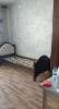 Сдам комнату в 3-к квартире в Москве, м. Владыкино, Алтуфьевское ш. 18, 13 м²