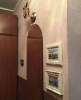 Сдам 1-комнатную квартиру, Ботаническая ул. 19к1, 39 м²