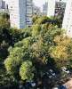 Сдам 1-комнатную квартиру в Москве, м. Беломорская, Фестивальная ул. 59к2, 34 м²