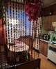 Сдам комнату в 2-к квартире в Москве, м. Перово, Перовская ул. 29к2, 20 м²