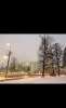 Сдам 1-комнатную квартиру, Зеленоград к2010, 40 м²