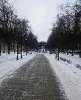Сдам 2-комнатную квартиру в Москве, м. Молодежная, Кунцевская ул. 4к1, 51 м²