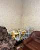 Сдам комнату в 3-к квартире, Перекопская ул. 34к2, 14 м²