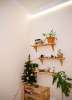 Сдам 2-комнатную квартиру в Москве, м. Тульская, Варшавское ш. 2, 55 м²
