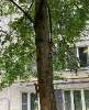 Сдам 3-комнатную квартиру в Москве, м. Коньково, Профсоюзная ул. 140к3, 59 м²