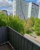Сдам 2-комнатную квартиру в Москве, м. Варшавская, ул. 1к1, 68.7 м²