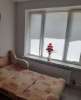Сдам студию, Зеленоград к814, 15.9 м²