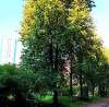 Сдам студию в Москве, м. Беговая, Хорошёвское ш. 38, 16 м²