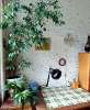 Сдам 2-комнатную квартиру в Москве, м. Балтийская, . 26к3, 47.2 м²